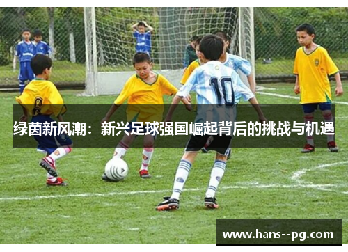 绿茵新风潮：新兴足球强国崛起背后的挑战与机遇