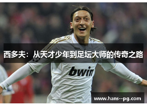 西多夫：从天才少年到足坛大师的传奇之路