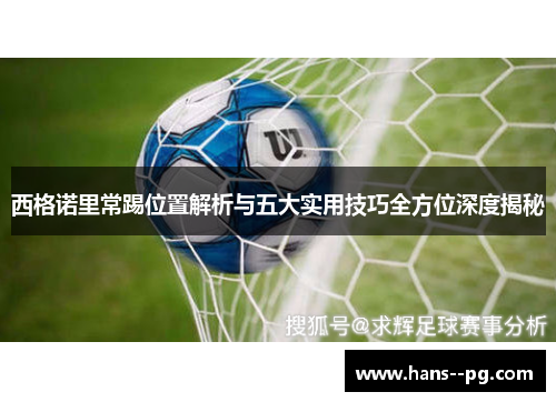 西格诺里常踢位置解析与五大实用技巧全方位深度揭秘 西格诺里常踢位置解析与五大实用技巧全方位深度揭秘