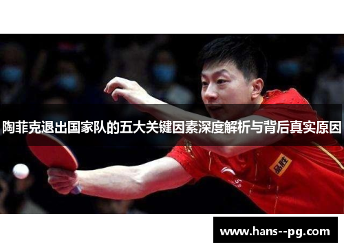 陶菲克退出国家队的五大关键因素深度解析与背后真实原因 陶菲克退出国家队的五大关键因素深度解析与背后真实原因