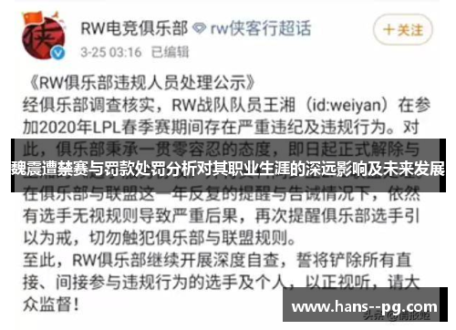 魏震遭禁赛与罚款处罚分析对其职业生涯的深远影响及未来发展