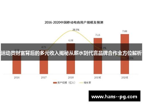 运动员财富背后的多元收入揭秘从薪水到代言品牌合作全方位解析
